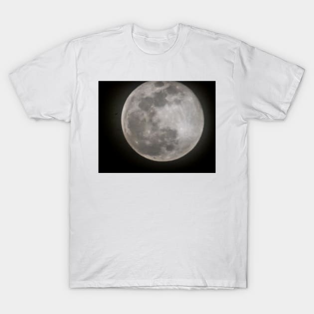 New Moon T-Shirt by byEstherReid